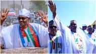LIVE UPDATES: Atiku 0, Buhari 1 as tribunal dismisses PDP's motion accusing Osinbajo of vote-buying through Tradermoni