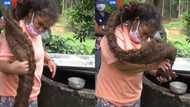This woman has refused to wash or cut her hair for over 20 years, this is her reason (photos, video)