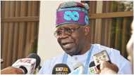 Presidency 2023: Stop media attacks against Tinubu, group warns politicians