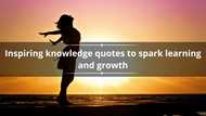 30 inspiring knowledge quotes to spark learning and growth