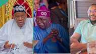 Kano: ‘Ganduje using Tinubu, courts in power tussle with Kwankwaso’, Kperogi alleges, shares how