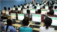 UTME Fraud: Fresh details emerge as JAMB sanctions more candidates, ends Mmesoma Ejikeme’s probe