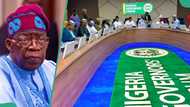 Tax Reform Bills: Tinubu bows to 19 govs' pressure, source names presidency's next step