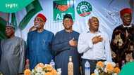 2027 election: Thought leader shares only way Peter Obi can secure ADC ticket