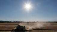 Fears for crops as drought hits northern Europe