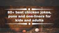 80+ best chicken jokes, puns and one-liners for kids and adults