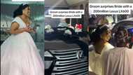 "Let the singles breathe": Groom gives bride black case on wedding day, turns out to be car key