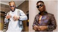 He samples other people's songs, Reekado Banks is a creative writer - Nigerians drag Burna Boy