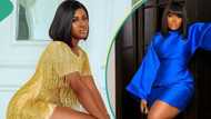 BBNaija Alex and Cee C finally end 5-year-old beef, become besties overnight: "Have you eaten this morning?"