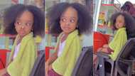 "She sabi gossip": Funny little girl communicates with mum using signs and gestures in video, netizens react