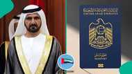 UAE publishes 8 categories of foreigners who may qualify for citizenship, lists conditions