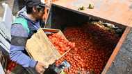 Bolivia's breadbasket squeezed by pro-Morales blockades