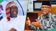 2027 election: Tinubu's spokesperson reacts as Peter Obi says his one term vow is sacrosanct