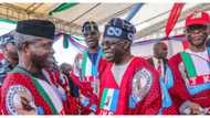 2023: APC bigwigs reveal party's biggest fear as Osinbajo, Tinubu are set to meet