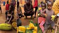 "Never seen it all my life": Video of rare fruit served to kids at orphanage causes buzz, people react