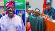 Ministerial list: Report reveals time President Tinubu will send names and when Senate will clear nominees