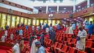 Senate plenary disrupted as heavy rain destroys section of NASS roof