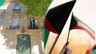 Kuwait suspends visas for Nigerians, other foreign nationals