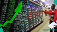 Nigeria's stock market records highest daily gain as investors make over N1trn
