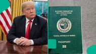 4 countries that have restricted, suspended visas for Nigerian passport holders
