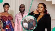 Chivido 2025: Video of crowd queuing for Amala at Davido & Chioma's wedding surfaces, fuels comments