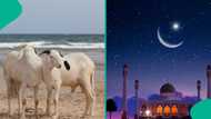 Expected public holiday date for Eid Al-Adha 2026 in Nigeria emerges