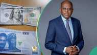 CBN moves to boost naira, sells $30 million in spot market for first time in 5 months