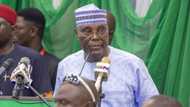 2023 Election: Atiku beats tribal drums, says Arewa needs northerner, not Yoruba or Igbo, video emerges