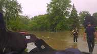 Heroic police officers swim through floodwaters after SOS call to save 82-year-old woman stuck in her car