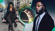 Burna Boy vs Sophia Egbueje: Drama as Nigerians decide who is to blame in the Lamborghini saga