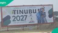 Zaben 2027: Tinubu ya kunyata masoya, ya hana fara yi masa Kamfen a dukkan jihohi