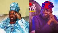 MKO Abiola: Key things to know about Democracy Day celebrated on June 12