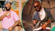 Davido surprises female fan with N5m at his concert: "Make he no broke cos he wan copy Wizkid"