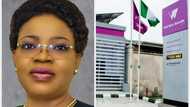 Meet Oluwayemisi Olorunshola, Wema Bank's new chairman who conquered 2 worlds, boasts impressive CV