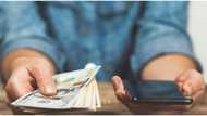 Nigeria's remittance inflow drops by 20% as government eyes diaspora investment