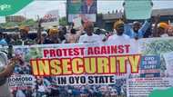 Insecurity: Commuters stranded as protesters block major Ibadan road