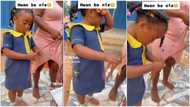 Smart kid in school uniform makes braids in video, her sense of focus stuns many people online