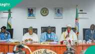 Gwamnoni 19 da manyan sarakunan Arewa sun cimma matsaya kan kafa yan sandan jihohi