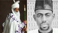 Babbar magana: Sarki Sunusi ne ya tunzura matan arewa suke kashe mazajensu - Hon. Zulyadaini