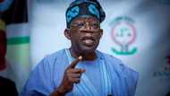 What I will do if I lose APC presidential primary, Tinubu opens up in trending video