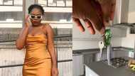 Young lady buys her own house, shows it off in beautiful photos, people celebrate her