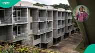 Top 10 best universities in West Africa according to THE world rankings