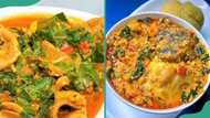 Top 4 Nigerian bitter leaf soup recipes: ingredients & cooking methods