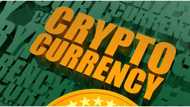 Nigerians traded $1.5 billion cryptocurrency to become Paxful's biggest crypto market
