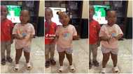 "She understood the assignment": Baby makes Kilimanjaro dance moves, performs like zombie in video