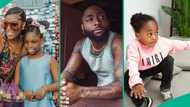 "Davido isn't fit": Details as Sophia Momodu mentions Ifeanyi's death, others in counter-affidavit