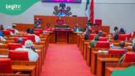 Breaking: Jubilation as senate passes N70,000 minimum wage bill