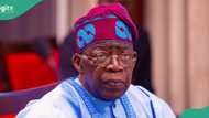 Yajin aiki: Gwamnatin Tinubu ta saki kuɗi, an fara biyan albashin NASU