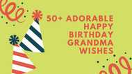 50+ adorable happy birthday grandma wishes for your meemaw