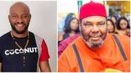 Yul pens down heartfelt appreciation post to father and veteran Pete Edochie